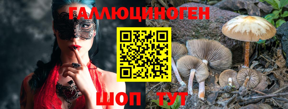 Галлюциногенные грибы MAGIC MUSHROOMS  Вход с VPN  Псилоцибиновые грибы Cubensis  Арсеньев 